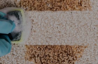 Remove A Coffee Stain From Carpet Featured Image