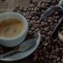 Best ESE Coffee Pods